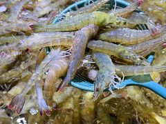 -聚盛源蒸汽海鲜火锅烤肉自助(巨川金海岸购物广场店)