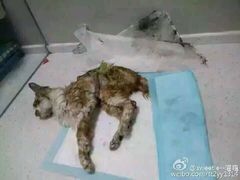 android_upload_pic-盛京一禾