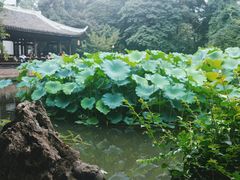 -成都杜甫草堂博物馆