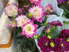 -五里多农博广场