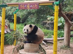 -广州长隆野生动物世界