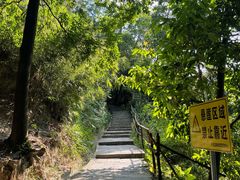 -火炉山森林公园