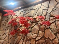 -鸽子窝(青塔店)