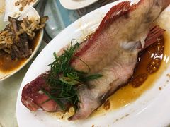 -湛江渔港·大排档(乐园路总店)