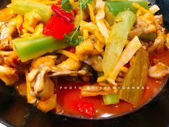 湘西霸王蛙-望湘园·洞庭渔宴(永旺店)