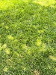 -变画·发型STUDIO