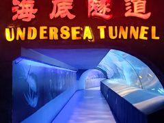 -太平洋海底世界