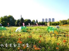 -长春世界雕塑园冰雪艺术天地