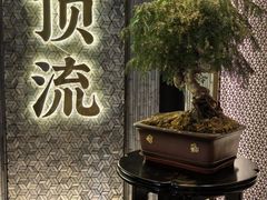 -东来顺·非遗火锅(赛格国际购物中心店)