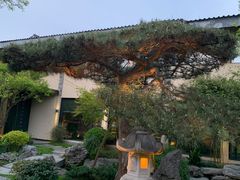 -新荣记(西溪湿地店)