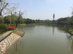 -上海鲜花港