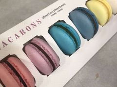 -西檬树SIMON·T轻奢蛋糕(大东方Max店)