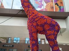 -宁波杉井奥特莱斯广场