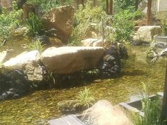 -忆江南·临江鱼馆