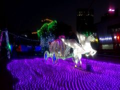 -巨鹏飞梦幻海岸