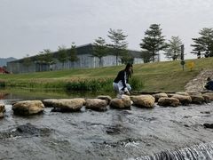 -光明小镇欢乐田园