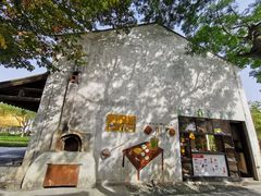 -田园东方蜜桃村的田野营地