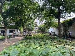 -绍兴鲁迅故里·沈园景区