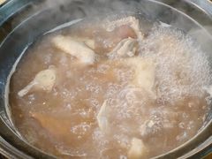 -一煲鸽