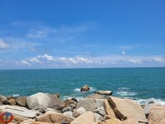 -广东惠东海龟国家级自然保护区
