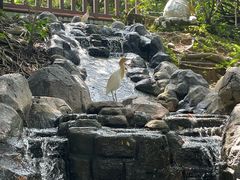 -吉隆坡雀鸟公园