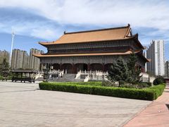 -药王庙(安国市)