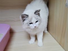 -太原东方动物医院(小店分院)