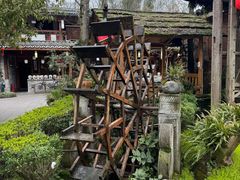 -青城甲(青城山店)