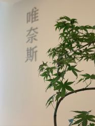-唯奈斯肌肤管理中心