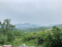 -石塘人家