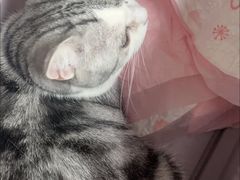 -美联众合动物医院·24h转诊中心