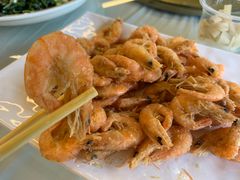 -京北渔家傲