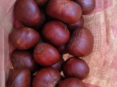 -二斗栗子(西湖道店)