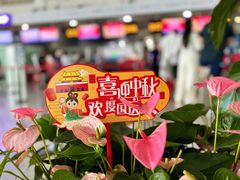 -郑州新郑国际机场