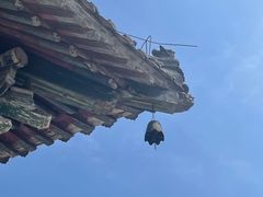 -洛阳白马寺