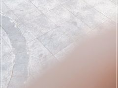 -小李烧鸡(西北角总店)