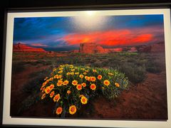 -罗红摄影艺术馆