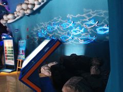 -烟台海昌鲸鲨海洋公园