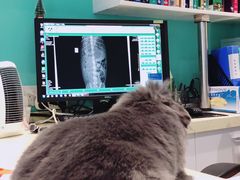 -雨林宠物医院 非犬猫异宠专科