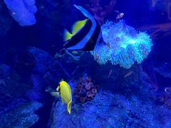 -沈阳海洋探索中心