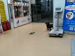 -瑞派·关忠动物医院·猫专科·犬专科(三环新城店)