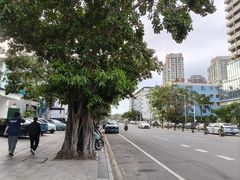 -龙泉人椰子鸡.糟粕醋.海南菜(三亚旗舰店)