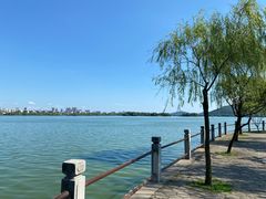 -无锡蠡湖国家湿地公园-蠡园