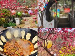 -桃源山庄·水蜜桃采摘·柴火鸡·烧烤团建(龙泉山店)