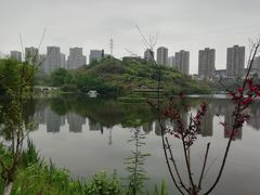 -重庆彩云湖湿地公园