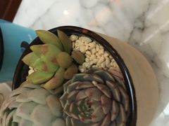 -上海雅居乐万豪侯爵酒店
