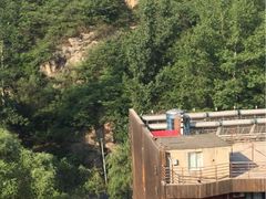 -Local泰莲庭(虹鳟鱼店)