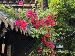 -贰醒·私房小院烧烤 (太古里店)