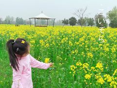 -汉长安城未央宫国家考古遗址公园