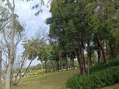 -深圳人才公园